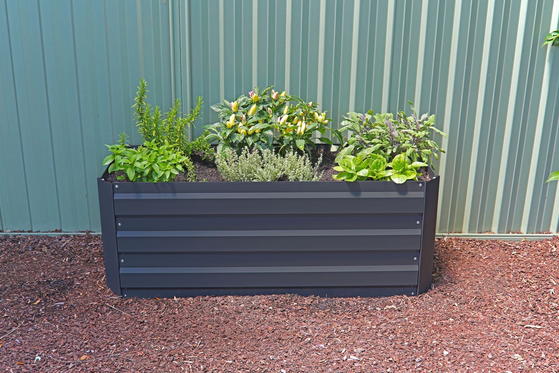 Image 4