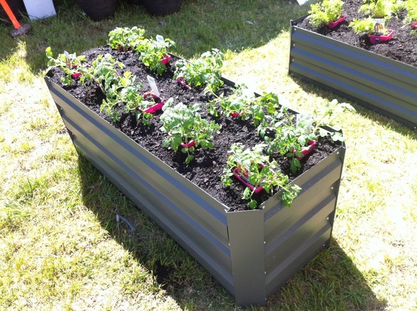 Image 5