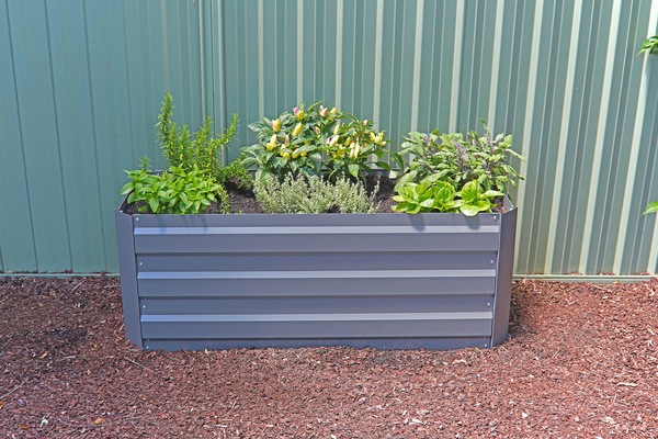 Image 6