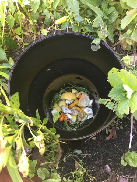 Image 8
