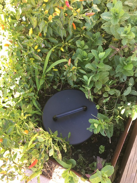 Image 9