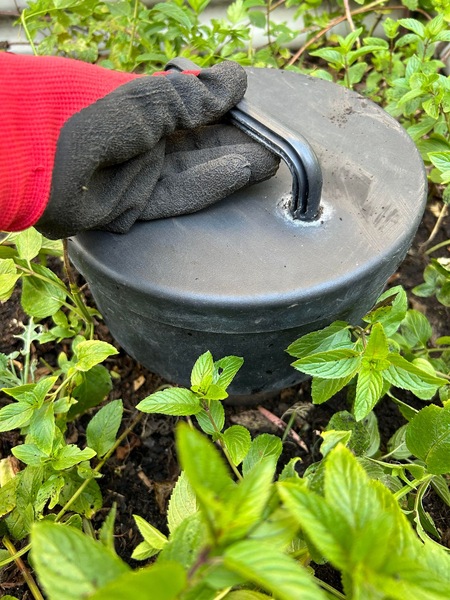 Image 13