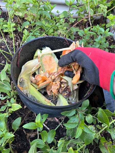 Image 15