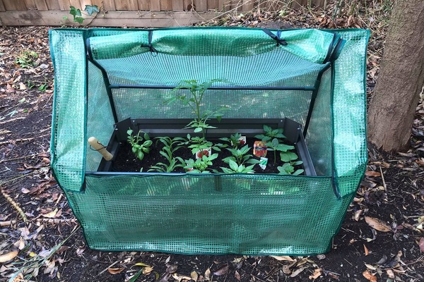 Image 5