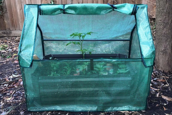 Image 6