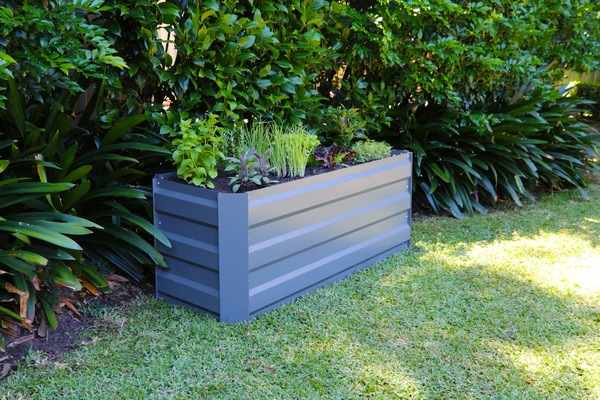 Image 7