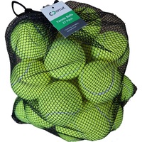 Circuit Tennis Ball 27 Pack