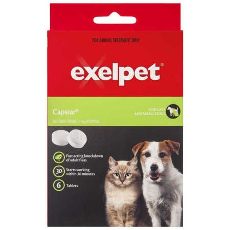 Buy Exelpet Capstar Tablets 6 Pack Cats & Small Dogs MyDeal