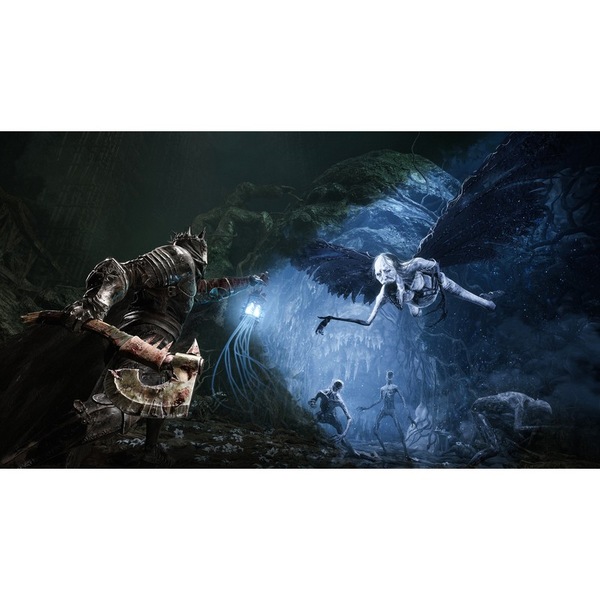 Image 5