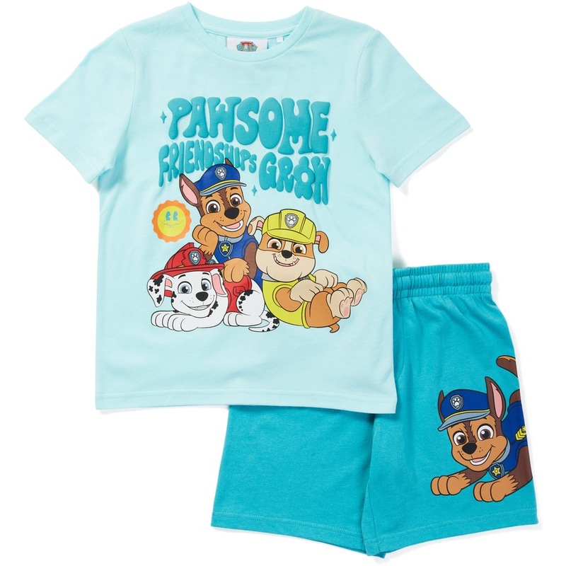 Buy Paw Patrol Kids Daycare Set Turquoise MyDeal