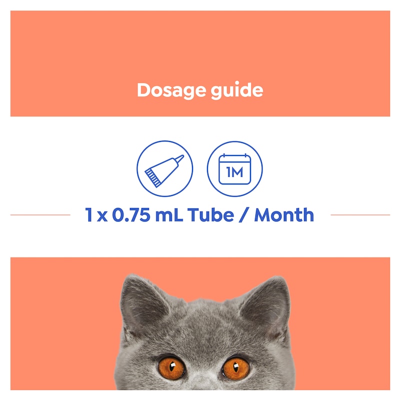 Buy Purina Total Care Heartwormer, Allwormer & Flea Control for Cats (2