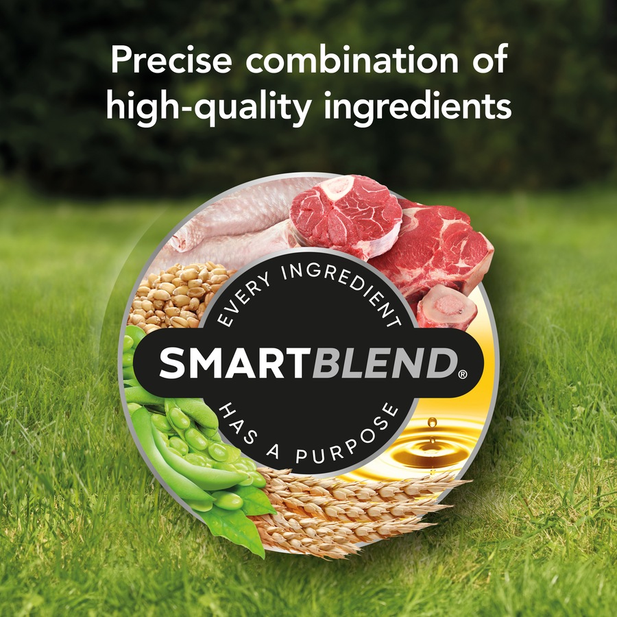 Supercoat Smartblend Adult Active Dog Food With Beef 12kg