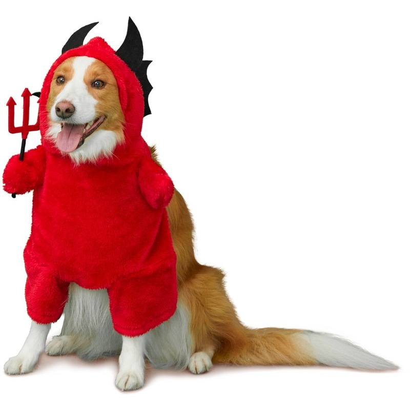 Buy Tails Halloween Dog Devil Costume, 30cm MyDeal