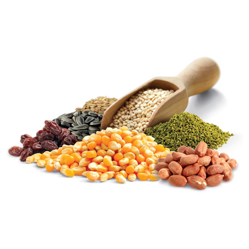 Buy Trill Parrot Mix with Fruit & Nuts Bird Food 10kg MyDeal