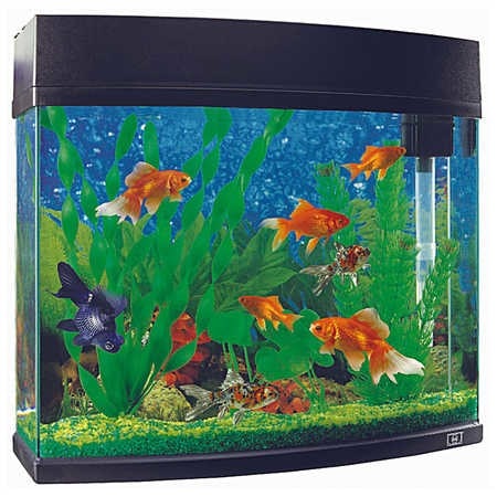 Vitapet 2025 fish tank