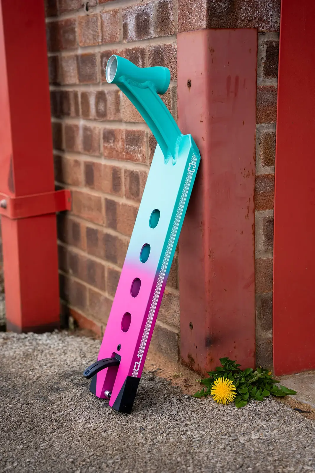 Image 7