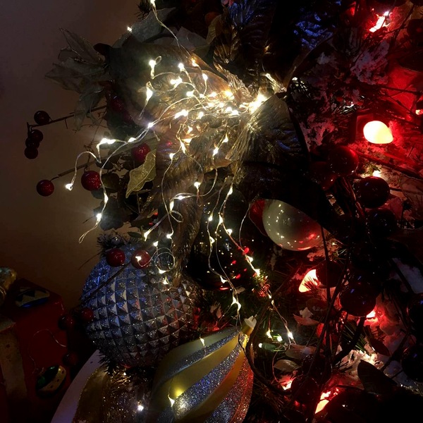 Image 4