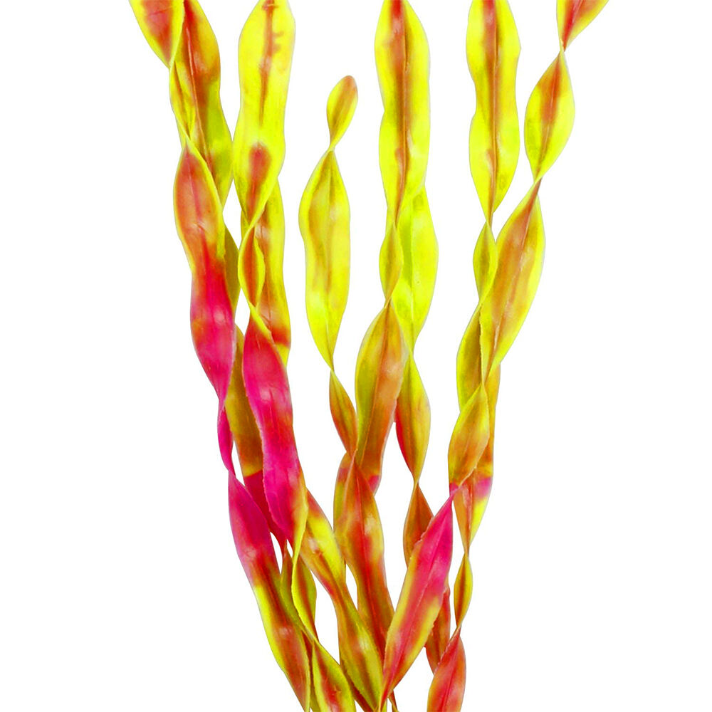 Image 18