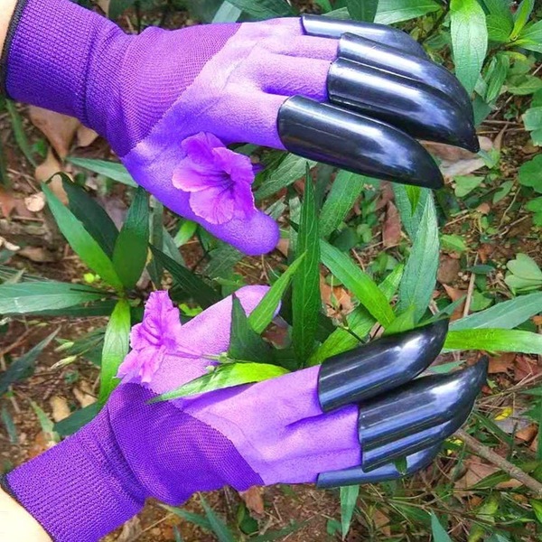Image 16