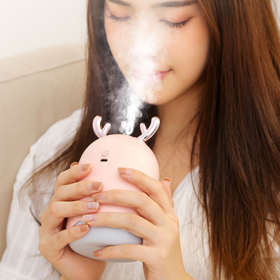 2Pcs Cute Mini Humidifier USB Colorful Night Light Home Silent Air Humidifier