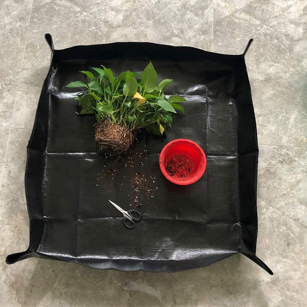 Image 21