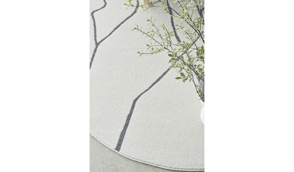 Image 15