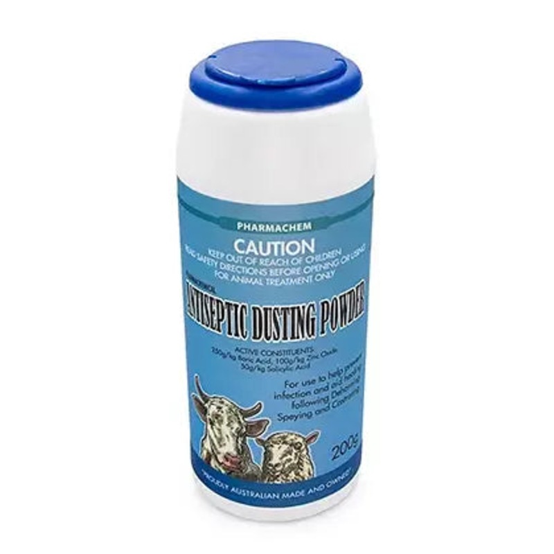 Buy Antiseptic Dusting Powder 200g - MyDeal