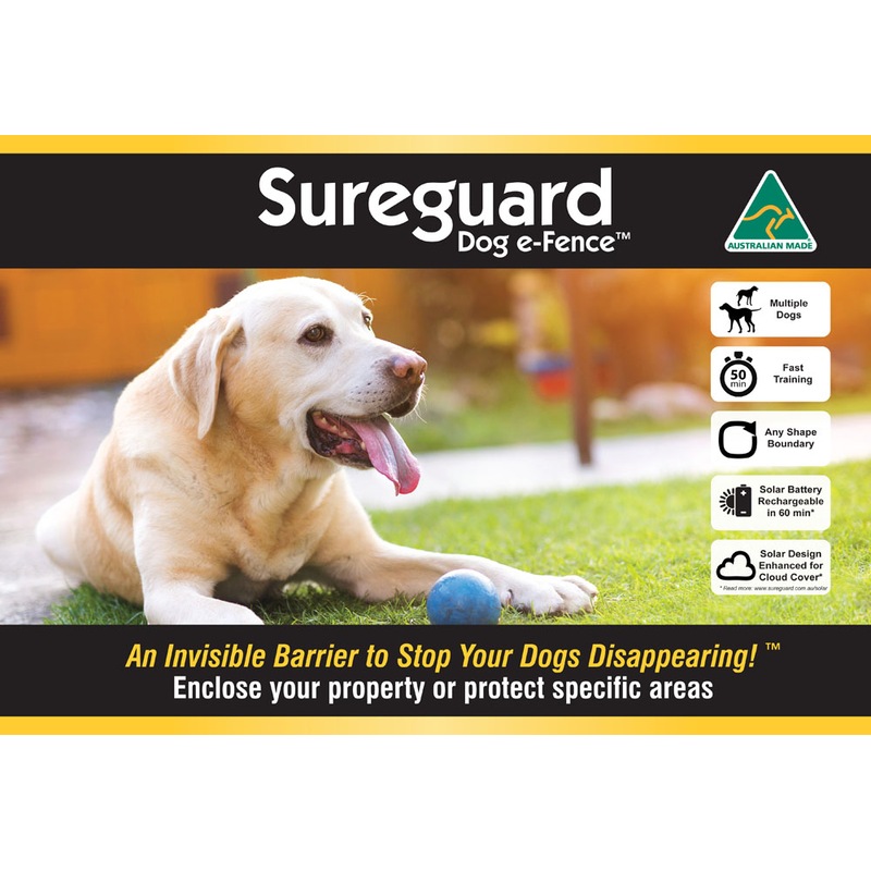 Buy Sureguard Wireless Dog Electric Fence Solar Powered Starter Kit