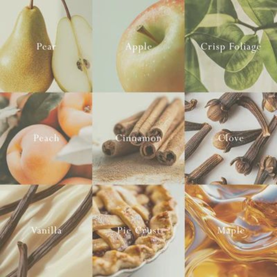 Mor Emporium Classics Blanc Italian Pear Perfumed Candle