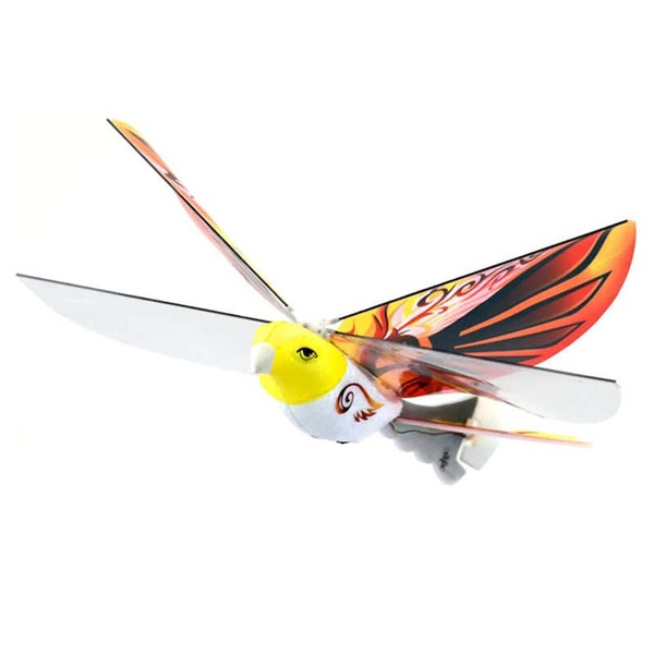 Image 2