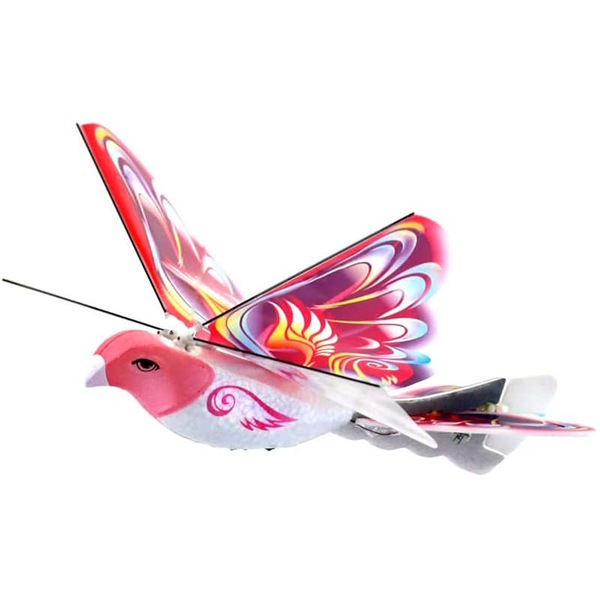 Image 2