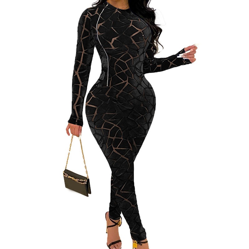 Sheer Mesh Long Sleeved Romper