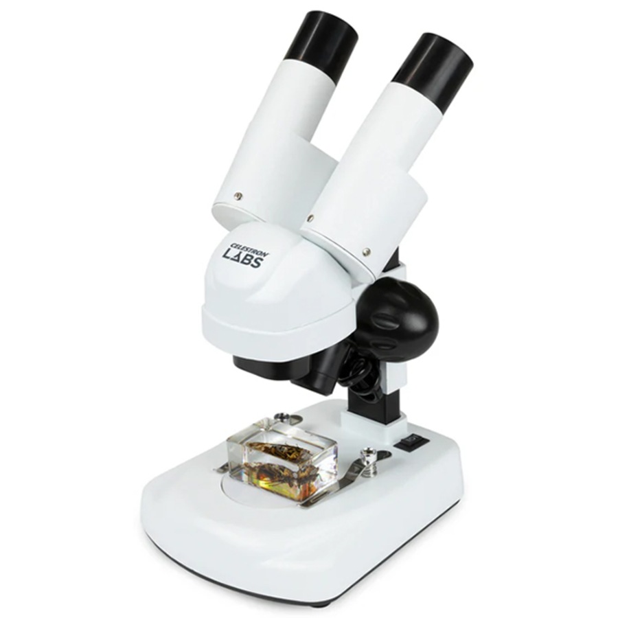 Buy Celestron Angled Stereo Microscope - Everyday Rewards Shop