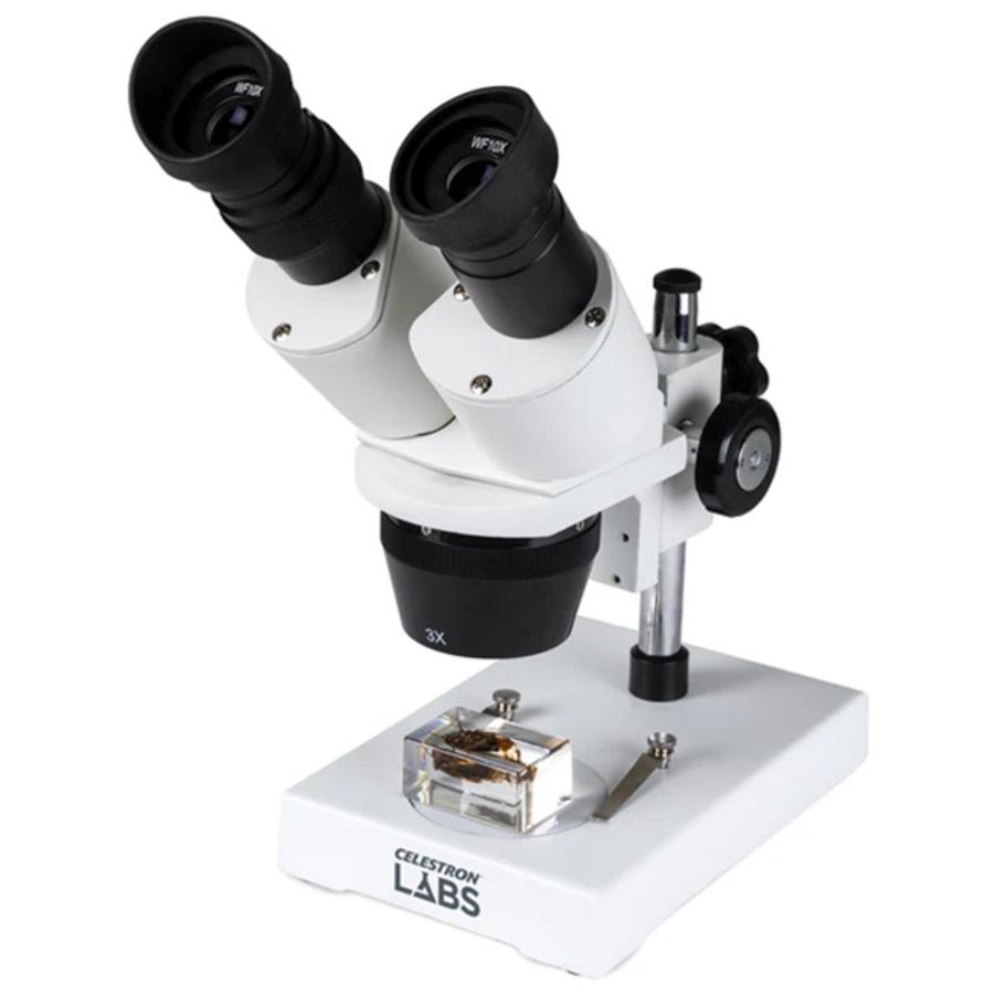 Buy Celestron Stereo Microscope - Everyday Rewards Shop
