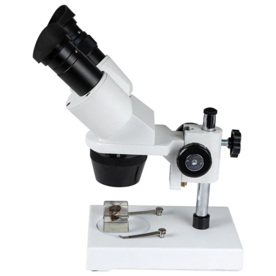 Buy Celestron Stereo Microscope - Everyday Rewards Shop