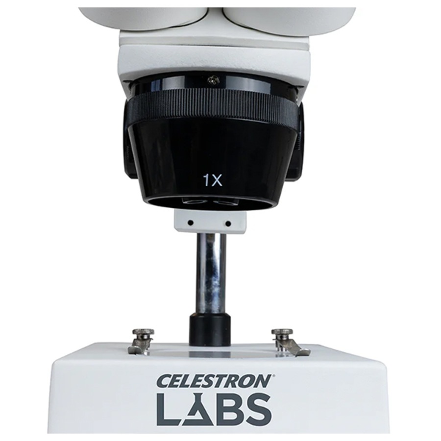 Buy Celestron Stereo Microscope - Everyday Rewards Shop