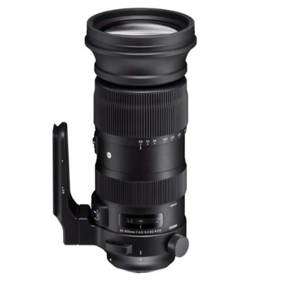 Sigma 60-600mm f4.5-6.3 Sport Lens Nikon Nikon F