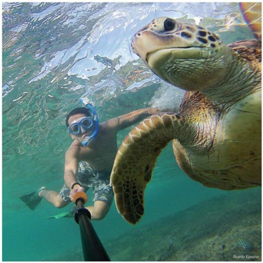 UK PRO GOPRO 16-38" POV CAMERA POLE