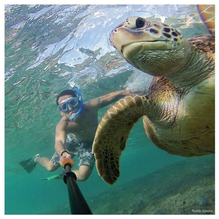 UK PRO GoPro 22" Floating POV Camera Pole