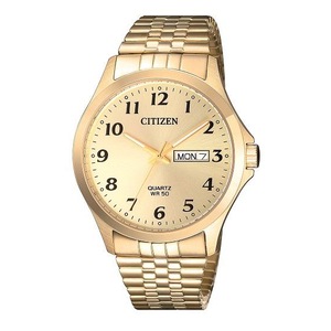 Citizen Gold Men's Watch BF5002-99P Quartz 4974374275141