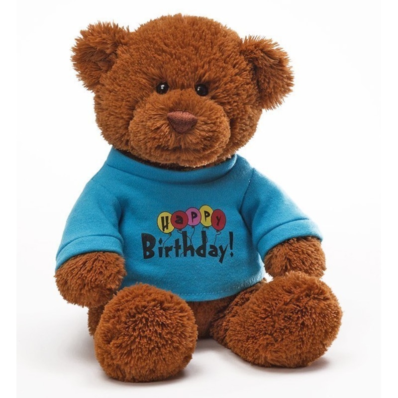 Buy Gund - 30cm Message Bear - Happy Birthday - MyDeal