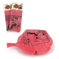 Whoopee Cushion