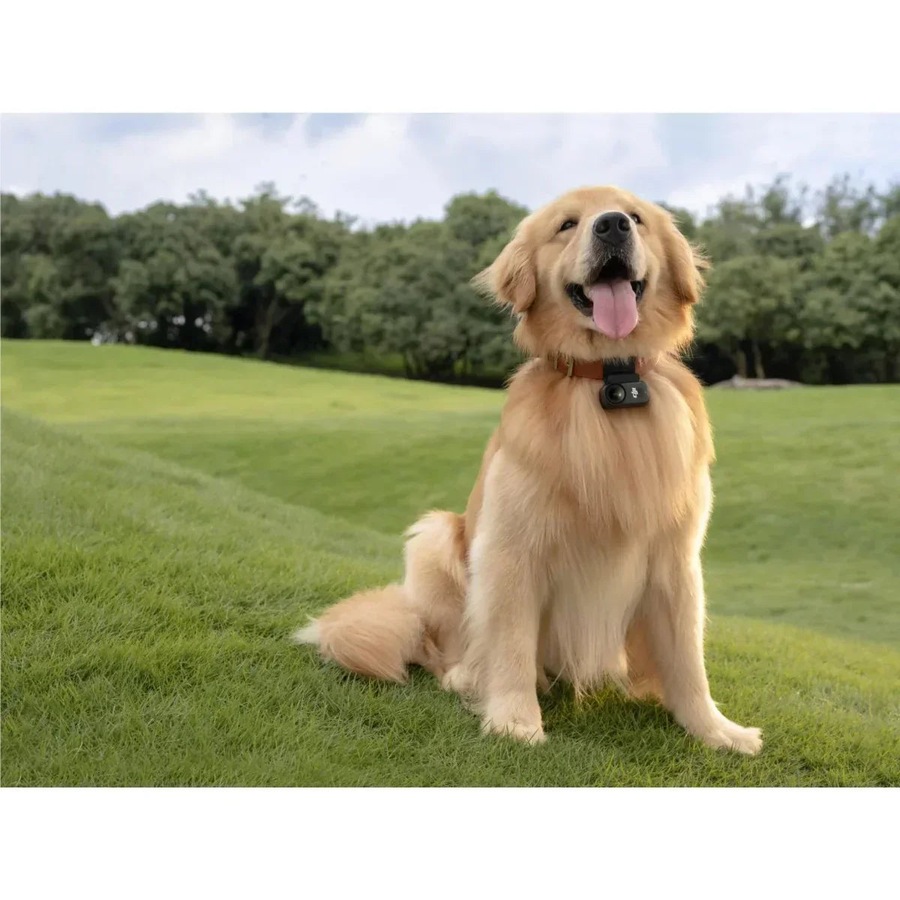 DJI Osmo Nano Action Camera Standard Combo 128GB Black