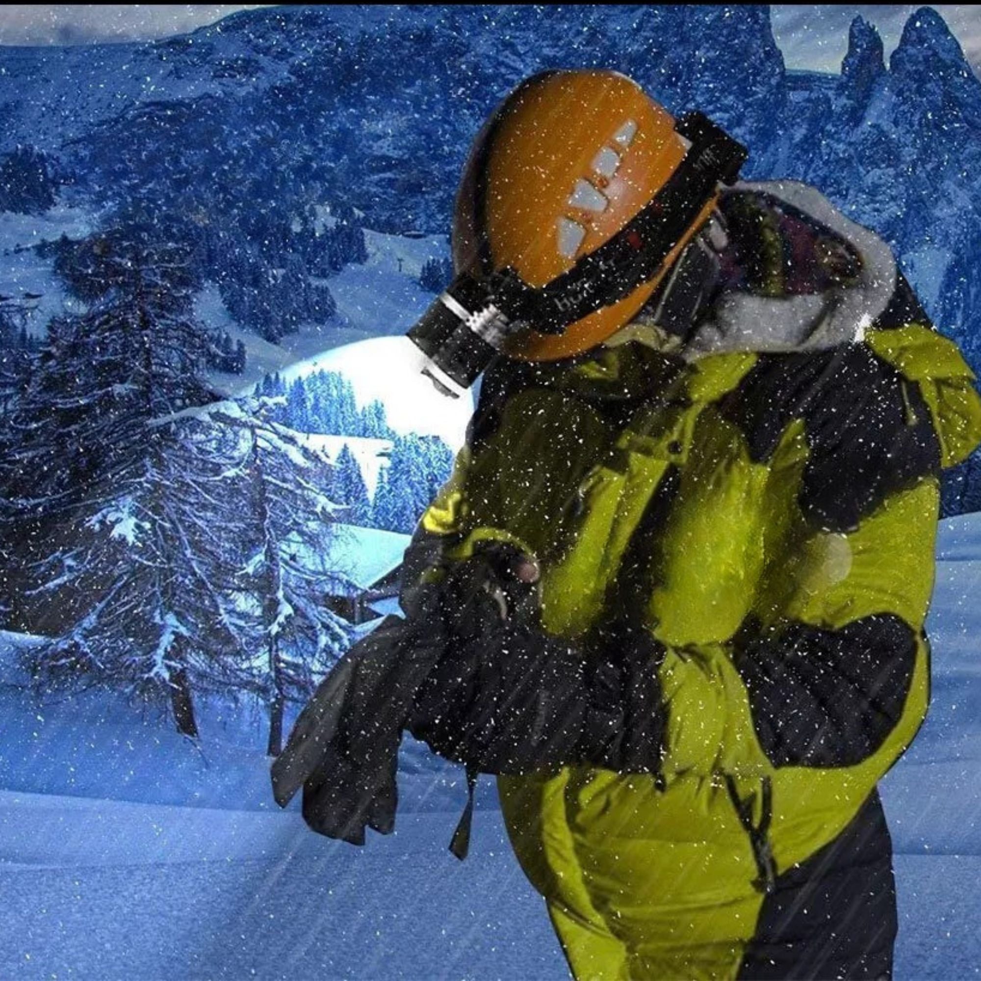 Image 4