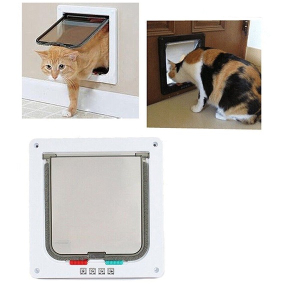 Image 5