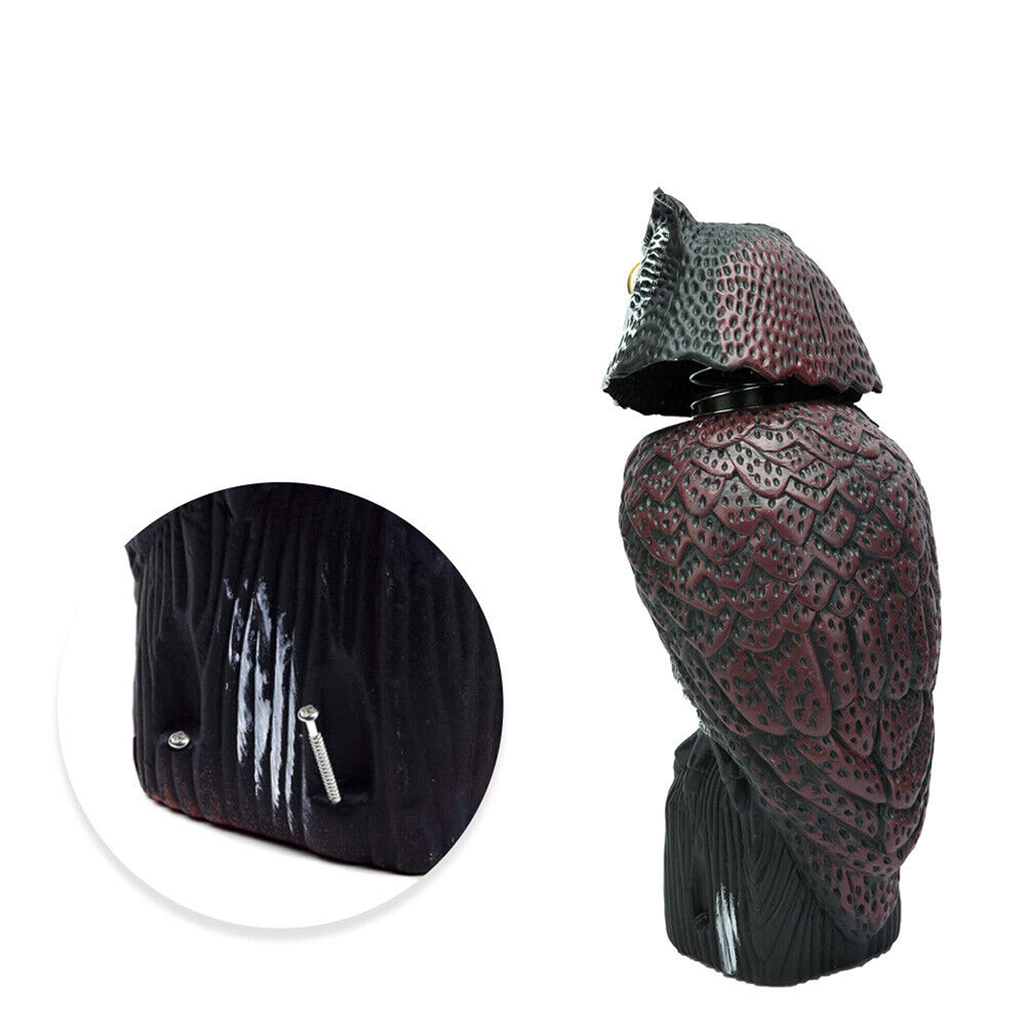 Image 11