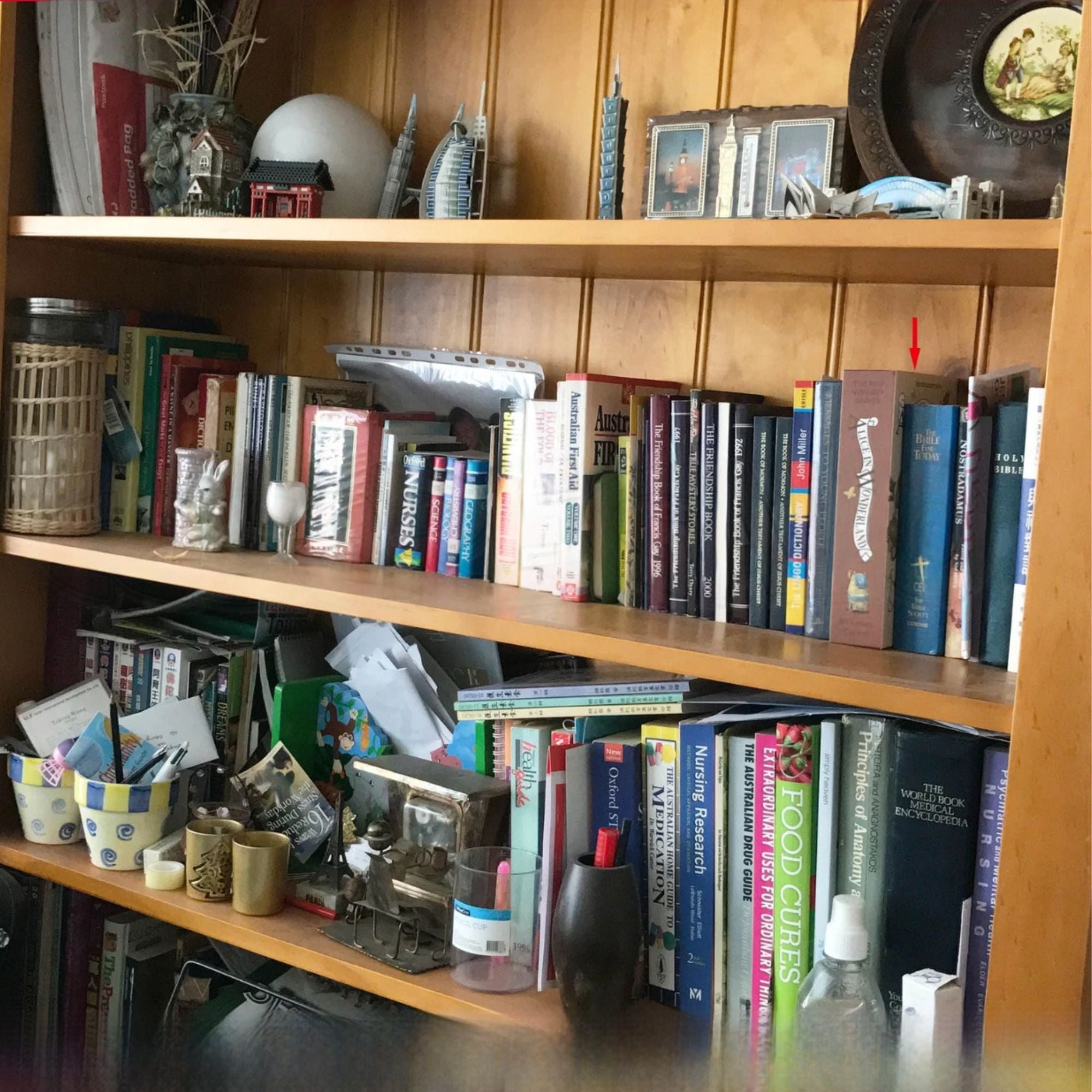 Image 4