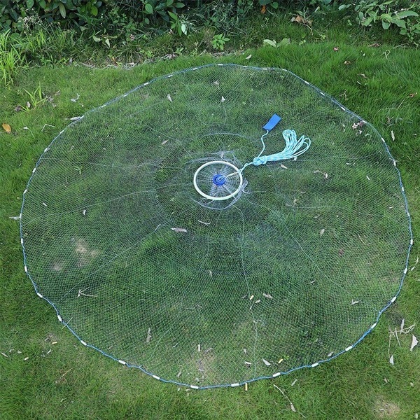 Image 8