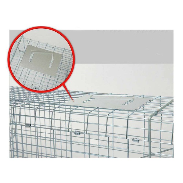 Image 7