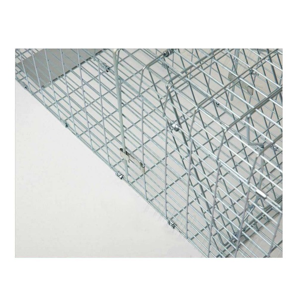 Image 10